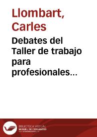 Debates del Taller de trabajo para profesionales [Resumen]