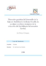 Disección genética del desarrollo de la hoja en Arabidopsis thaliana : estudio de ecotipos y estirpes mutantes de la colección del Arabidopsis Information Service