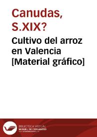 Cultivo del arroz en Valencia [Material gráfico]