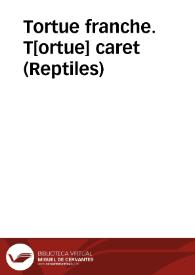 Tortue franche. T[ortue] caret (Reptiles)