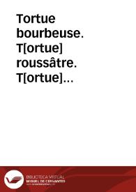 Tortue bourbeuse. T[ortue] roussâtre. T[ortue] odorante (Reptiles)