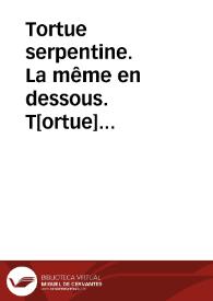 Tortue serpentine. La même en dessous. T[ortue] chagrinée (Reptiles)