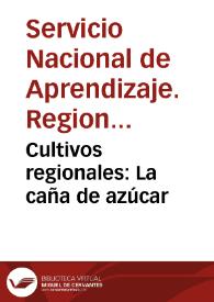 Cultivos regionales: La caña de azúcar