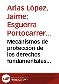 Mecanismos de protección de los derechos fundamentales y del orden jurídico