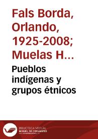 Pueblos indígenas y grupos étnicos