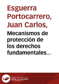 Mecanismos de protección de los derechos fundamentales de los particulares