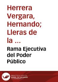 Rama Ejecutiva del Poder Público