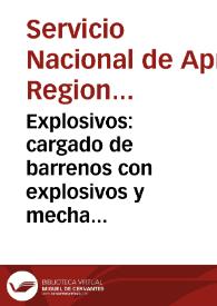 Explosivos: cargado de barrenos con explosivos y mecha de seguridad - Módulo No. 3